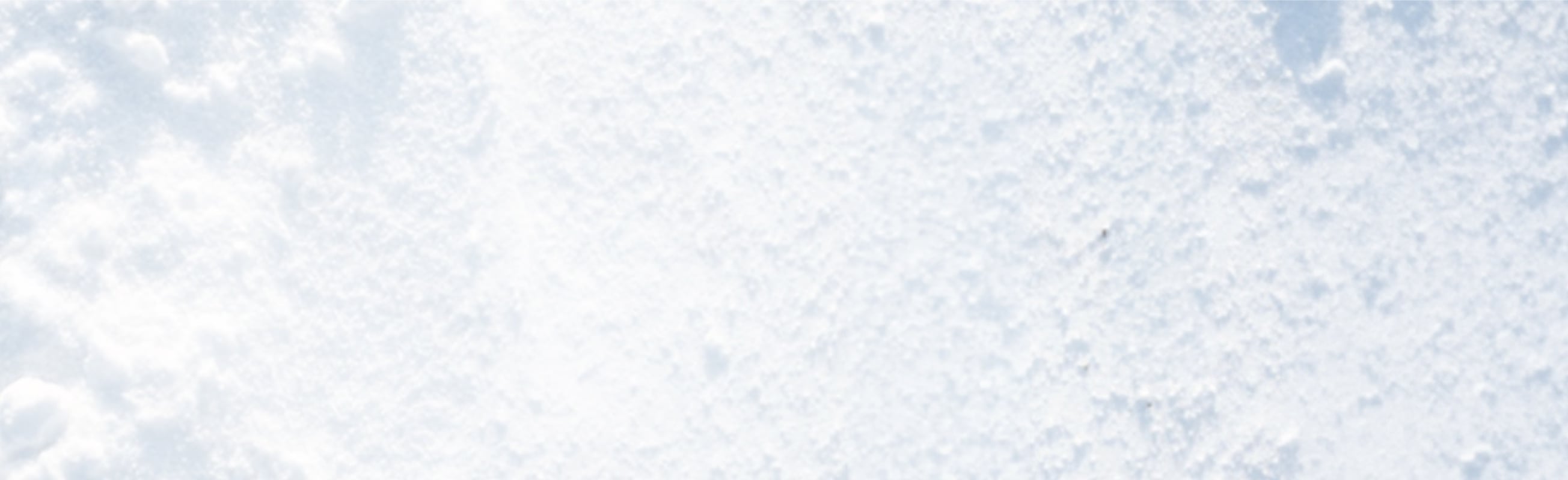 Winter Sale